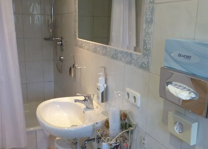 Hotel Seibel's Park 3*